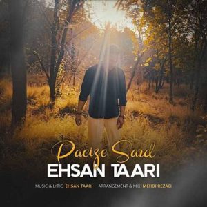 احسان طاری – پاییز سرد